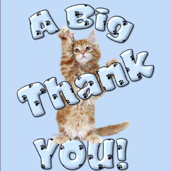 Meet your Posher, Marilyn - Picture 2 of 3